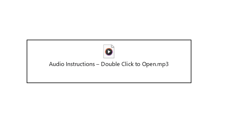 Embedded audio file icon in Microsoft Word showing “Audio Instructions – Double Click to Open”