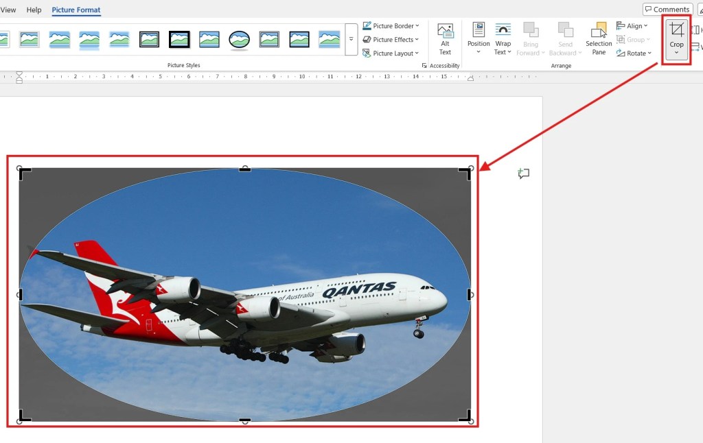 Screenshot showing how to crop a picture into an oval shape in Microsoft Word using the Crop tool