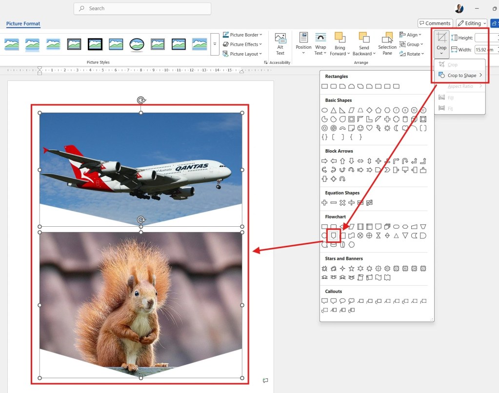 Screenshot showing how to crop a picture into a shape in Microsoft Word using the Crop to Shape tool