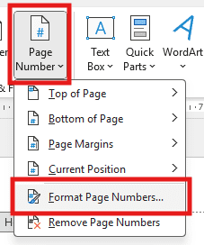 Microsoft Word Page Number menu showing the Format Page Numbers option selected