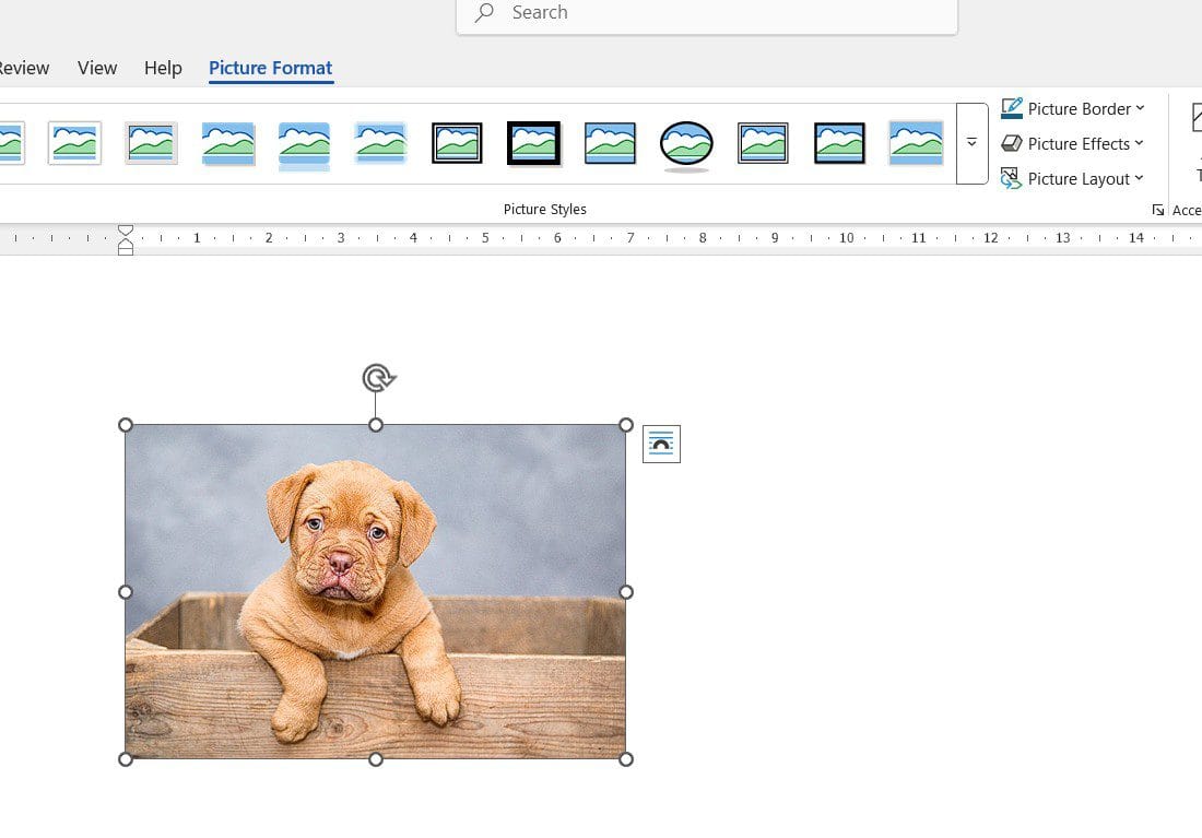 Picture Format tab displayed in Microsoft Word after selecting an image