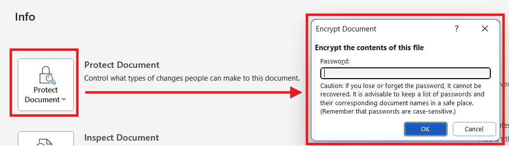 Microsoft Word Encrypt Document window where a password is entered to protect the file