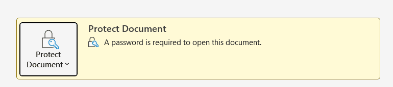 Microsoft Word Info screen showing Protect Document message confirming a password is required to open the document