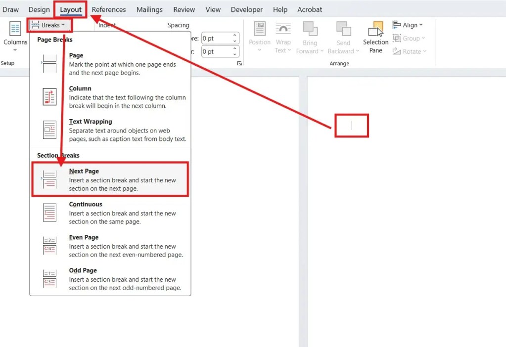 Inserting a Next Page section break in Microsoft Word layout menu