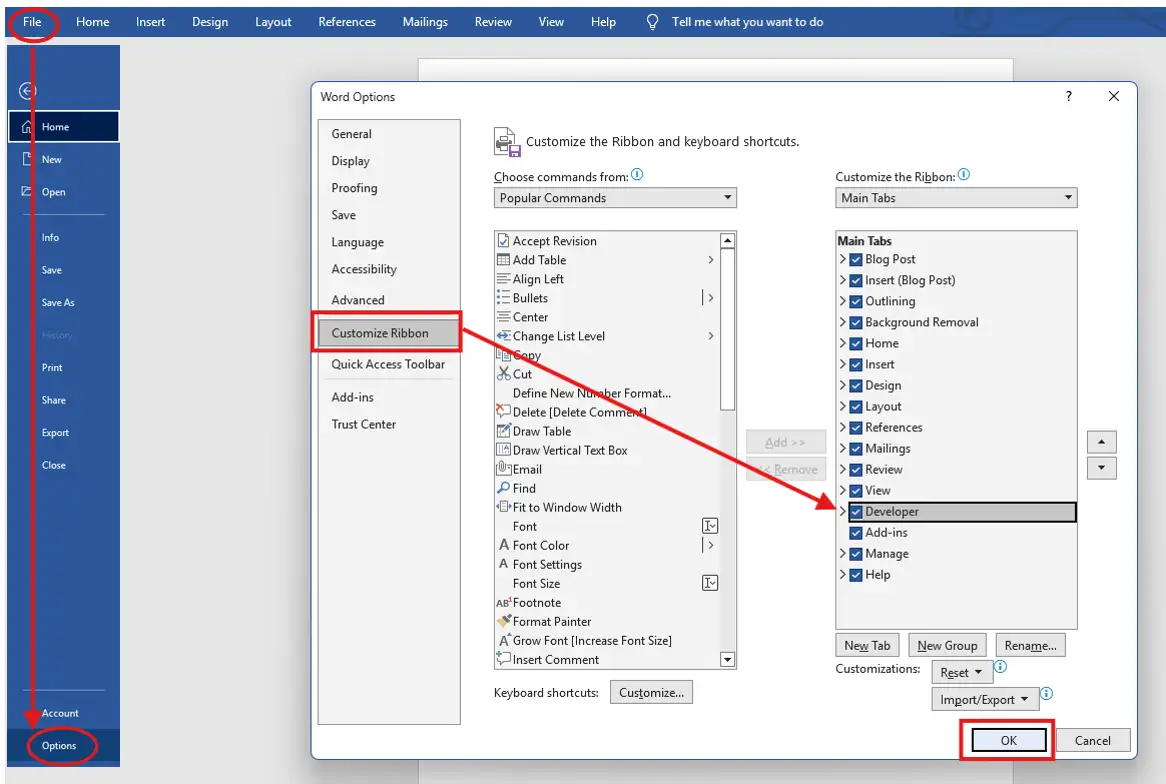 Microsoft Word options window showing Customize Ribbon settings to enable Developer tab from File Options menu