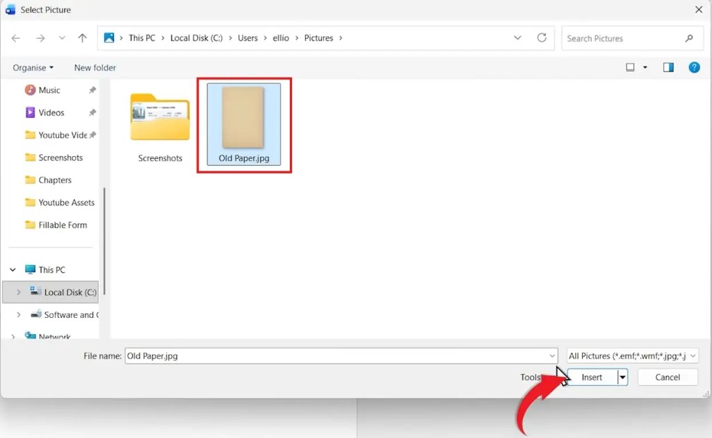 Select Picture window in Microsoft Word with an image file highlighted and Insert button selected.