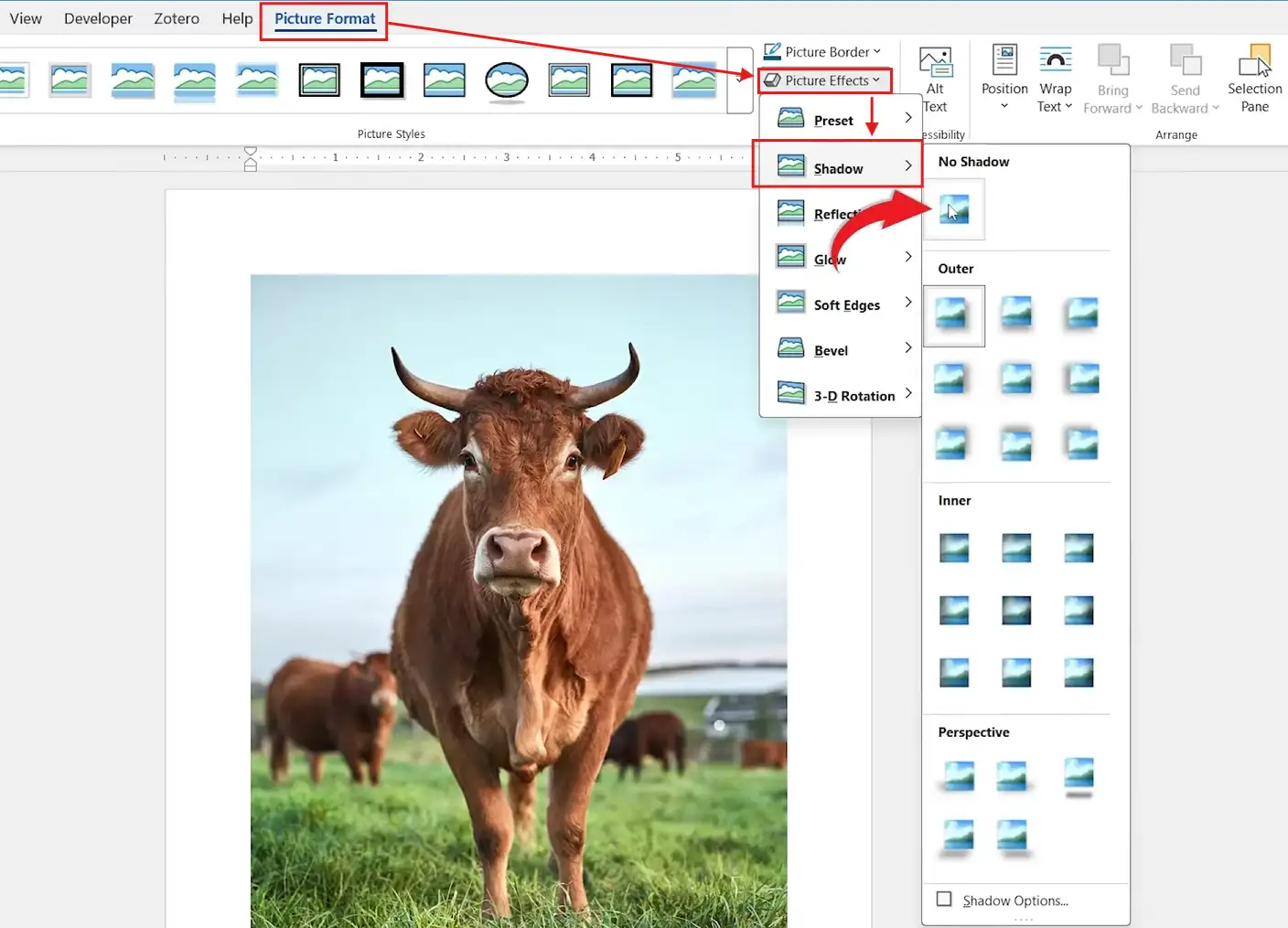 Word Picture Format tab showing Picture Effects and the available picture shadow styles