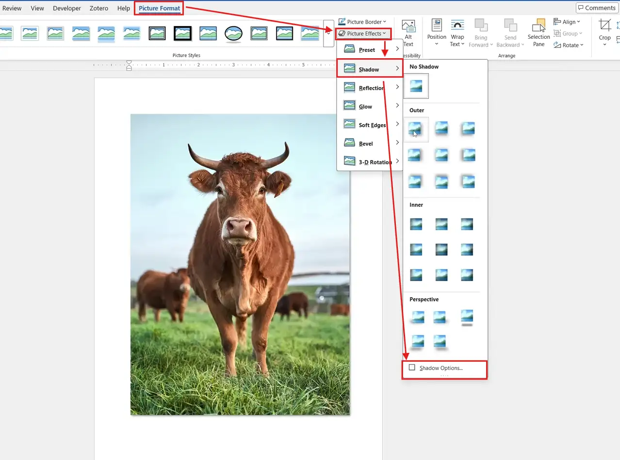 Add a shadow to a picture in Word: Word Picture Effects menu showing the Shadow gallery and Shadow Options command