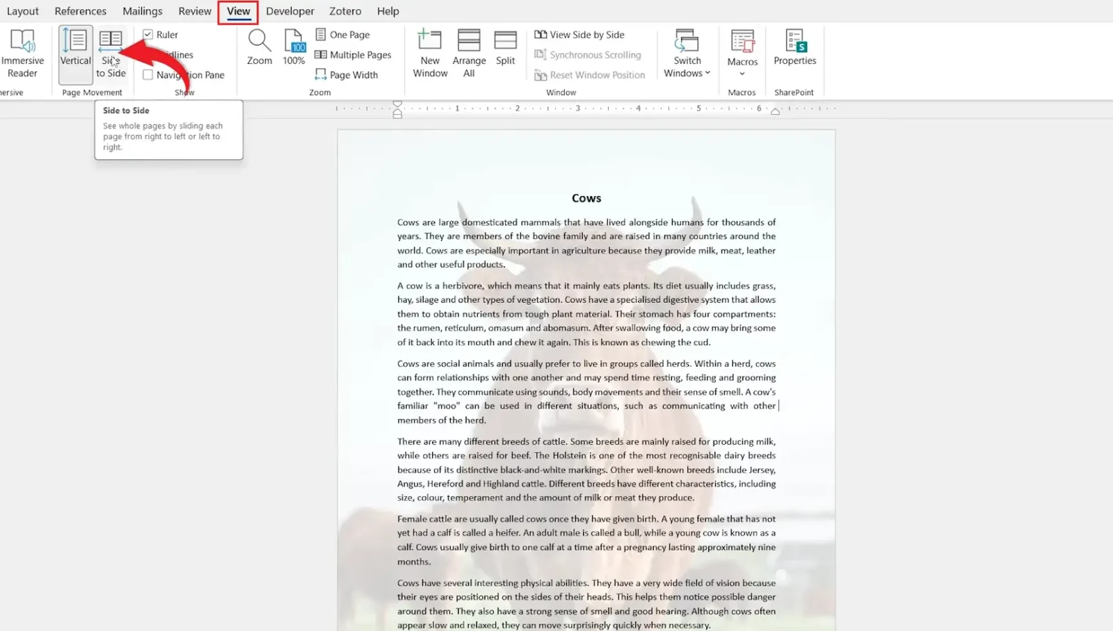 Microsoft Word View tab showing Side to Side page movement to view two pages side by side in Word