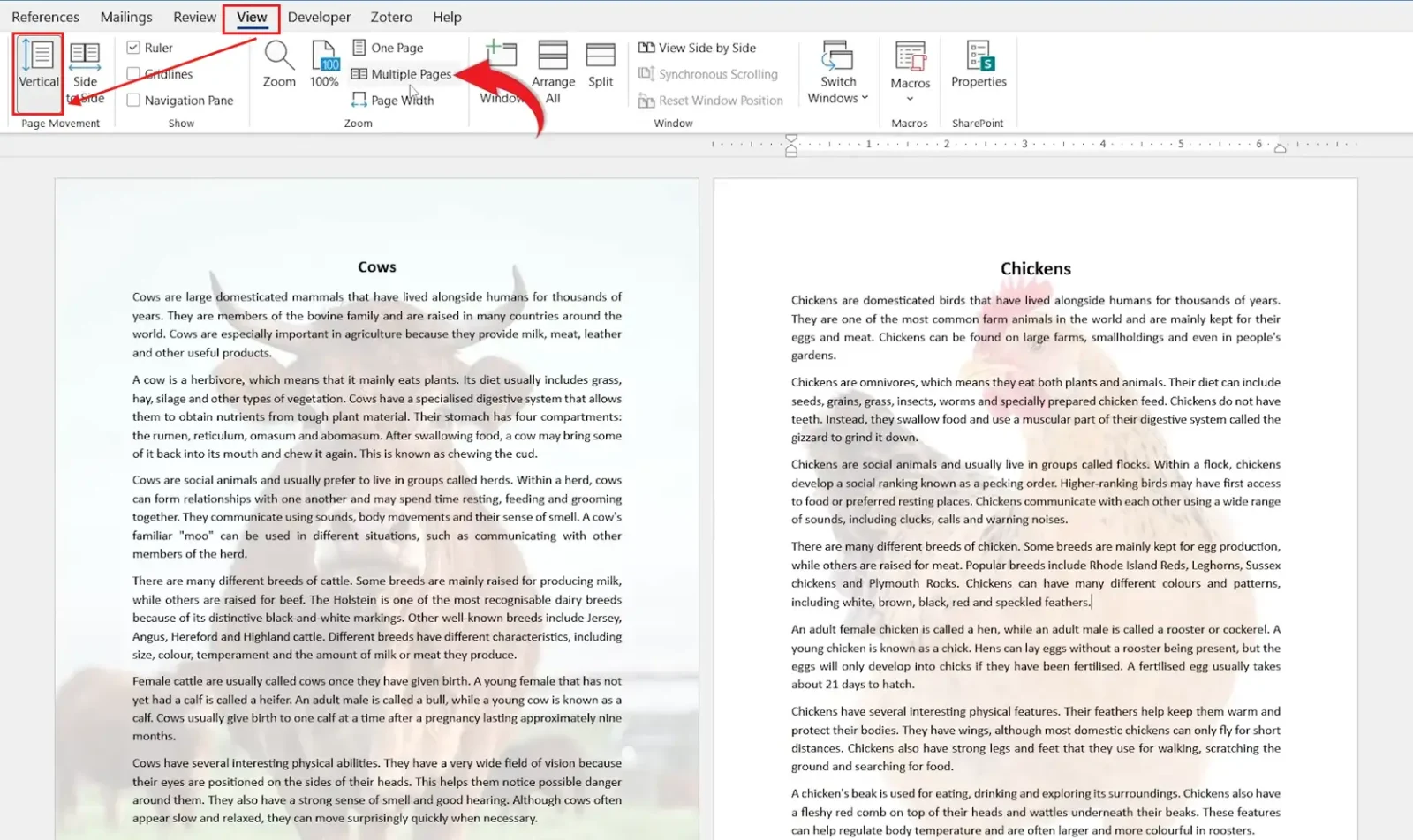 Microsoft Word View tab showing the Multiple Pages option in the Zoom group displaying two pages together