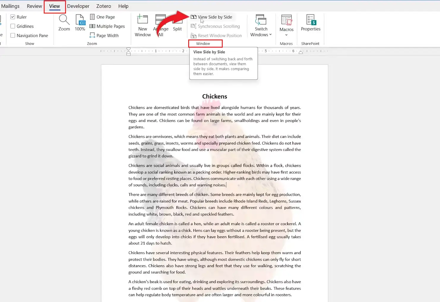 Microsoft Word View tab showing View Side by Side in the Window group to open two documents side by side in Word