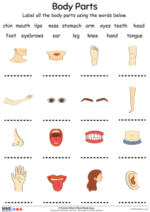 Body Parts Labelling Worksheet