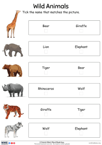 Wild Animals Picture Matching Worksheet