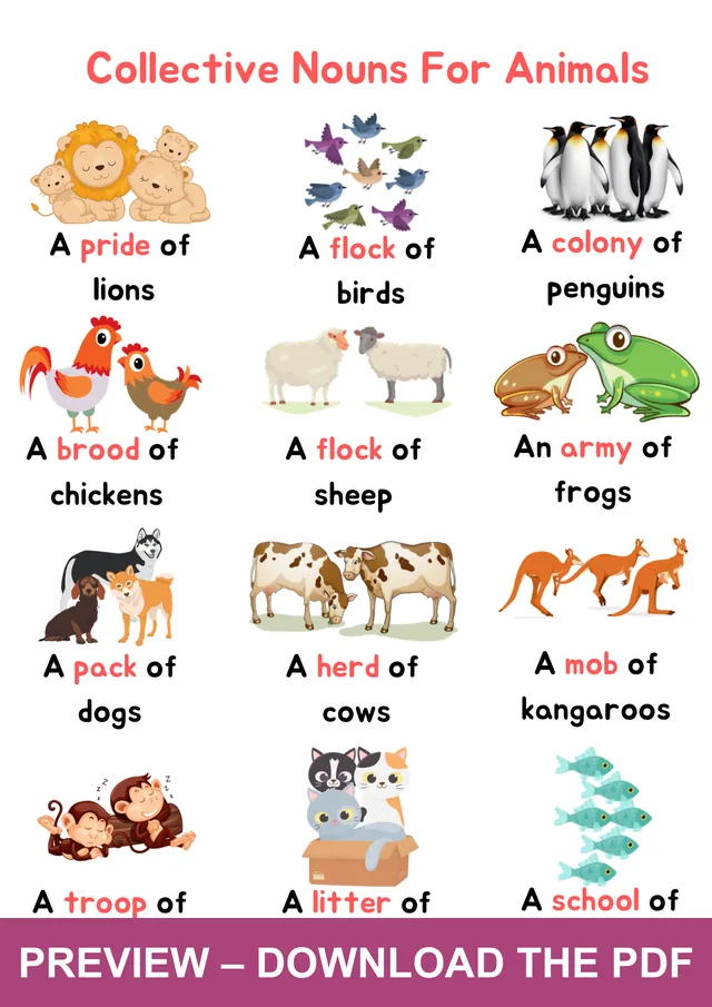 Watermarked preview of the collective nouns for animals poster