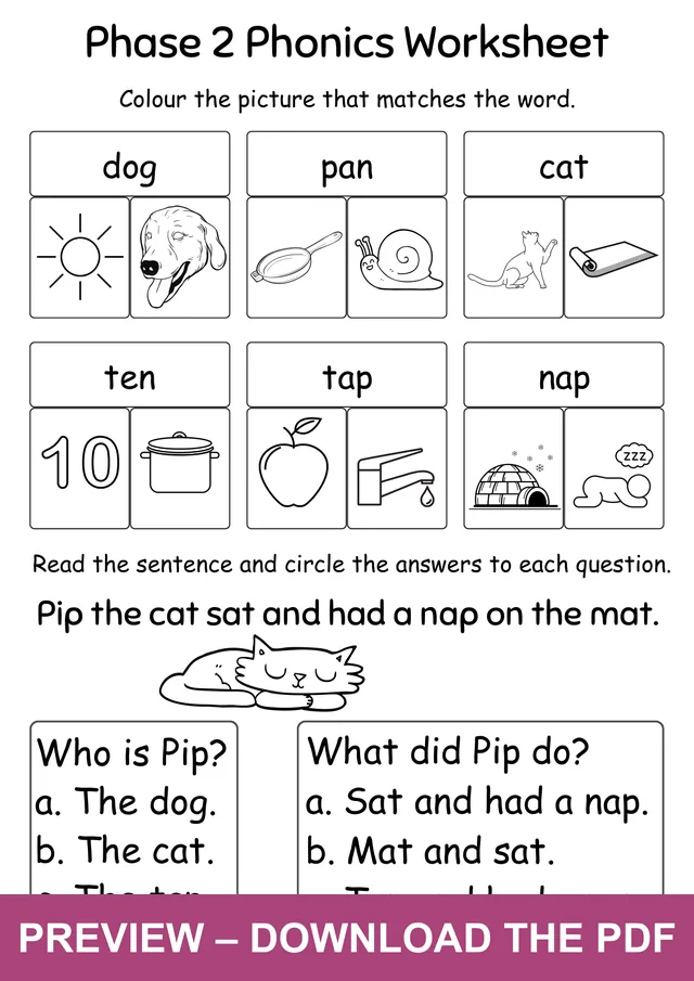 CVC Reading and Comprehension Worksheet: dog, pan, cat, ten, tap and nap, plus the sentence Pip the cat sat and had a nap on the mat