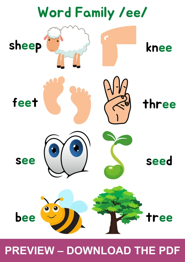 EE Word Family Picture Poster: sheep, knee, feet, three, seed, tree, bee and see