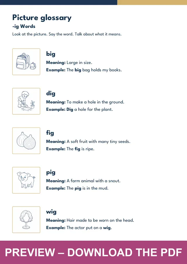 -ig word family picture glossary preview, PDF page 3