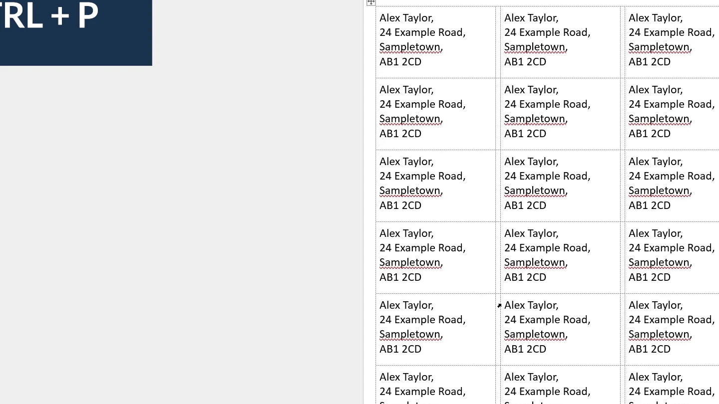 Finished sheet of labels ready to print with Ctrl + P