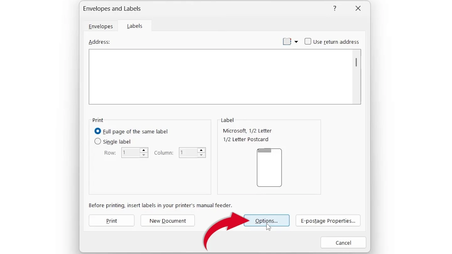 Options button in the Word Envelopes and Labels window